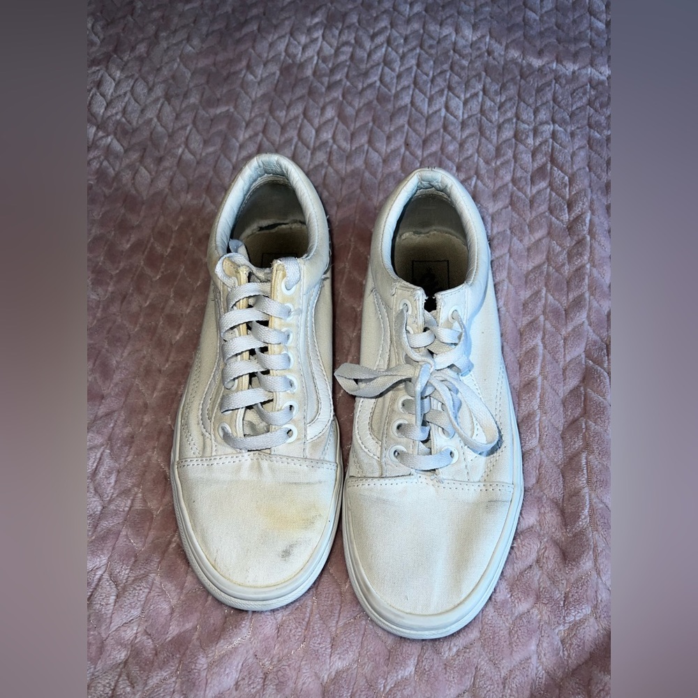 vans and converse